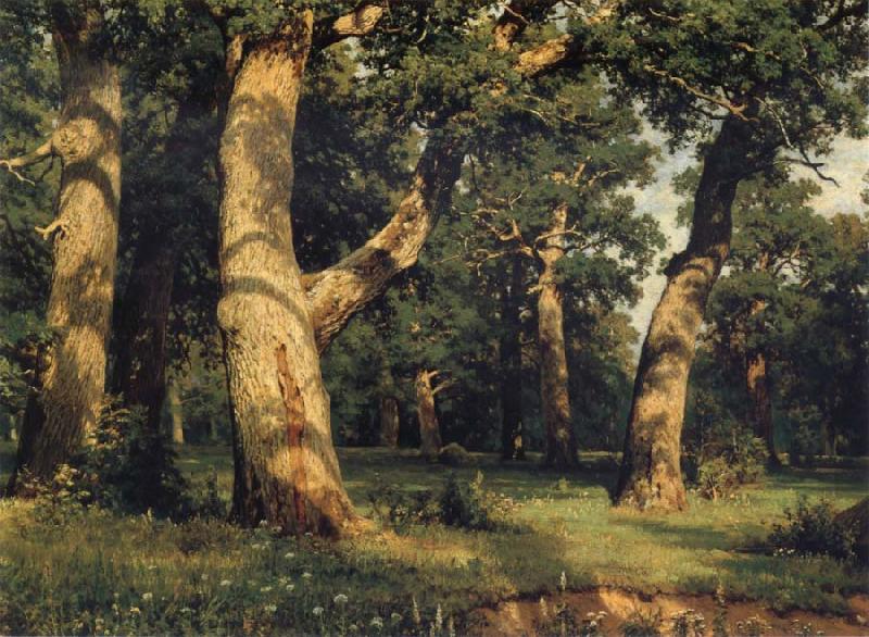 Ivan Shishkin Oak of the Forest oil painting picture